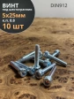 Винт под шестигранник ПР 5х25 мм ОЦ к.п.8.8 DIN912, 10 шт.