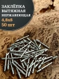 Заклепка вытяжная нержавеющая М4,8х8 , 50 шт.