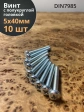 Винт с полукруглой головкой М5х40 ОЦ DIN7985, 10 шт.