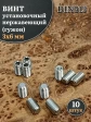 Винт установочный нержавеющий М3х6 DIN913 (гужон), 10 шт.