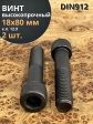 Винт высокопрочный НР М18х80 мм к.п.12.9 черный DIN912, 2 шт.