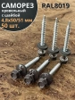Саморез кровельный, 4,8х50/51 серо-коричневый RAL8019 50 шт