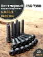 Винт чёрный М6х30 ISO 7380 под шестигранник к.п.10.9, 20 шт.
