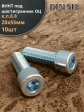 Винт под шестигранник ПР 20х55 мм ОЦ к.п.8.8 DIN912, 2 шт.