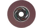 Круг лепестковый плоский A 24 КЛТ1 Луга