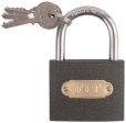 Замок навесной железный 60х48 мм стальная дужка 7,5 мм