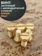 Винт 4х6 латунный с цилиндрической головкой DIN84,10 шт