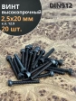 Винт высокопрочный ПР М2,5х20 мм к.п.12.9 черный DIN912, 20 шт.