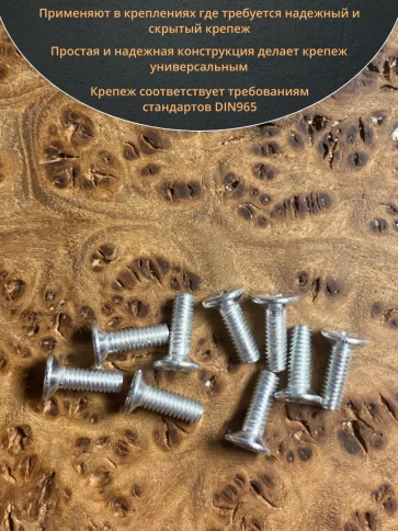 Винт потайной оцинкованный 4х10 DIN965, 100 шт. фото 4