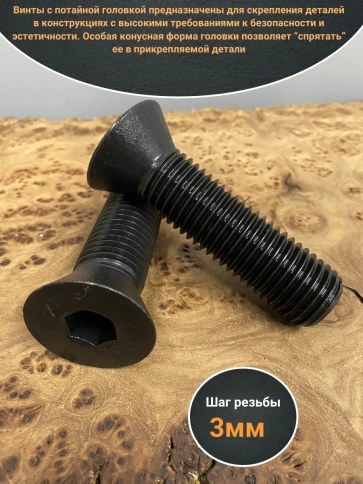 Винт потайной под шестигранник 24х100 DIN7991 к.п.10.9, 2шт фото 3