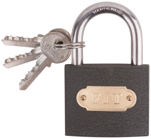 Замок навесной железный 50х40 мм стальная дужка 7 мм фото 1