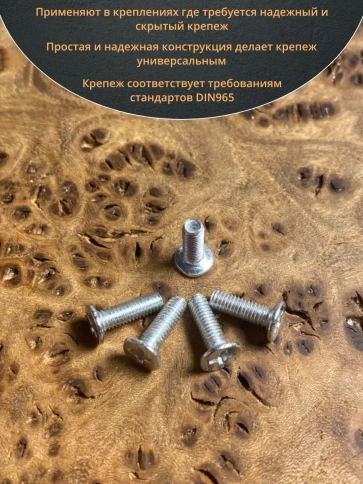 Винт потайной оцинкованный 3х10 DIN965, 100 шт. фото 4