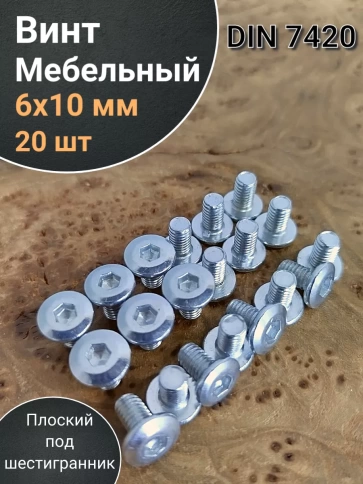 Винт мебельный 6х10 плоский под шестигранник DIN7420,20 шт фото 1