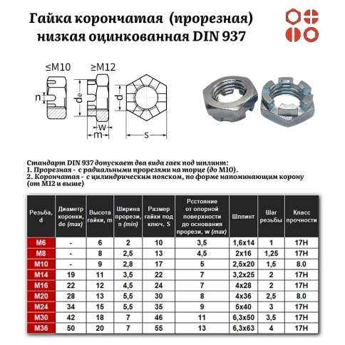 Гайка корончатая (прорезная) низкая М24 DIN 937-1 (17 H) оцинкованная, 70 шт. фото 2