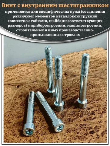 Винт под шестигранник НР 16х120 мм ОЦ к.п.8.8 DIN912, 10 шт. фото 4