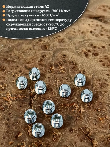 Винт установочный нержавеющий М6х5 DIN913 (гужон), 10 шт. фото 3