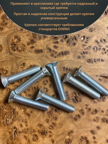 Винт потайной оцинкованный 6х25 DIN965, 100 шт. фото 4