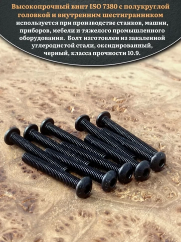 Винт чёрный М3х25 ISO 7380 под шестигранник к.п.10.9, 10 шт. фото 4