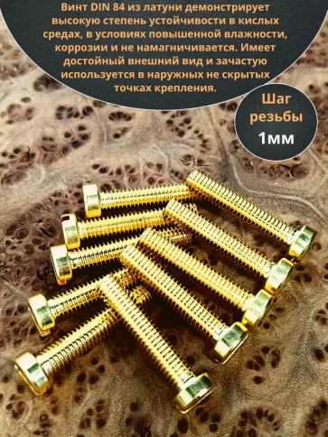 Винт 6х25 латунный с цилиндрической головкой DIN84,10 шт фото 3