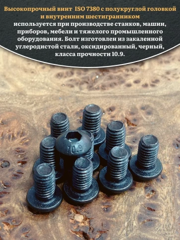 Винт чёрный М6х10 ISO 7380 под шестигранник к.п.10.9, 10 шт. фото 4