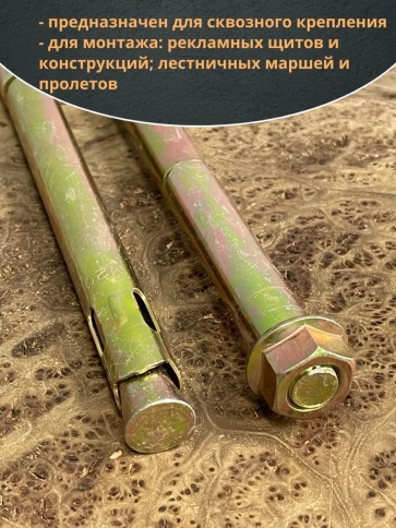 Анкерный болт с гайкой 20х250 мм, 2 шт. фото 3